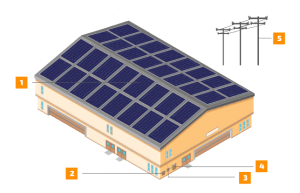Illustration of how solar works for your business