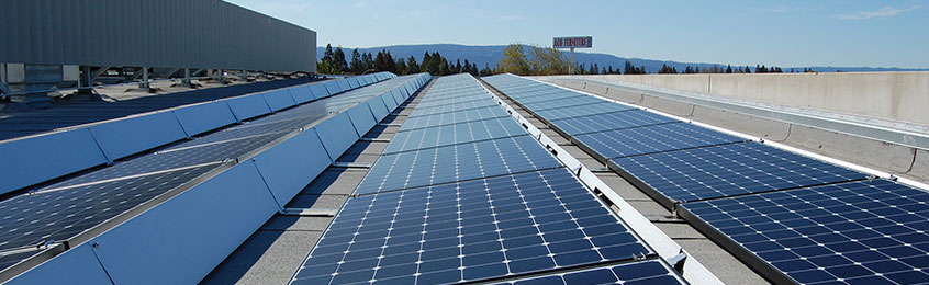 Go Green with your business by switching to solar power