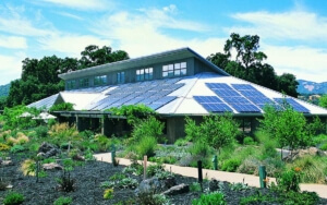 Five Facts About Sustainable Solar Energy