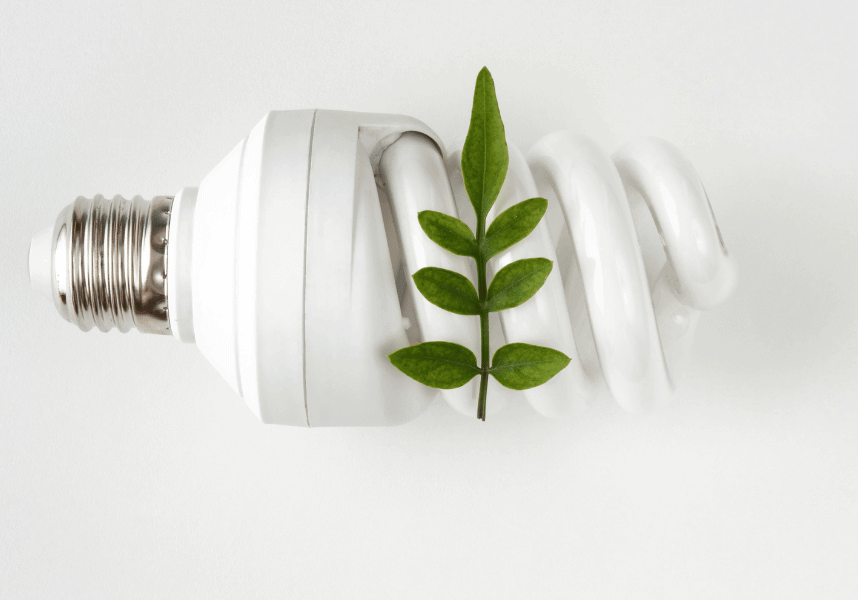 Energy-Efficient-Light-Bulb
